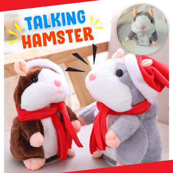 Talking Hamster